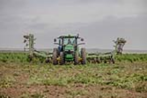 20 Fallow Master Orthman